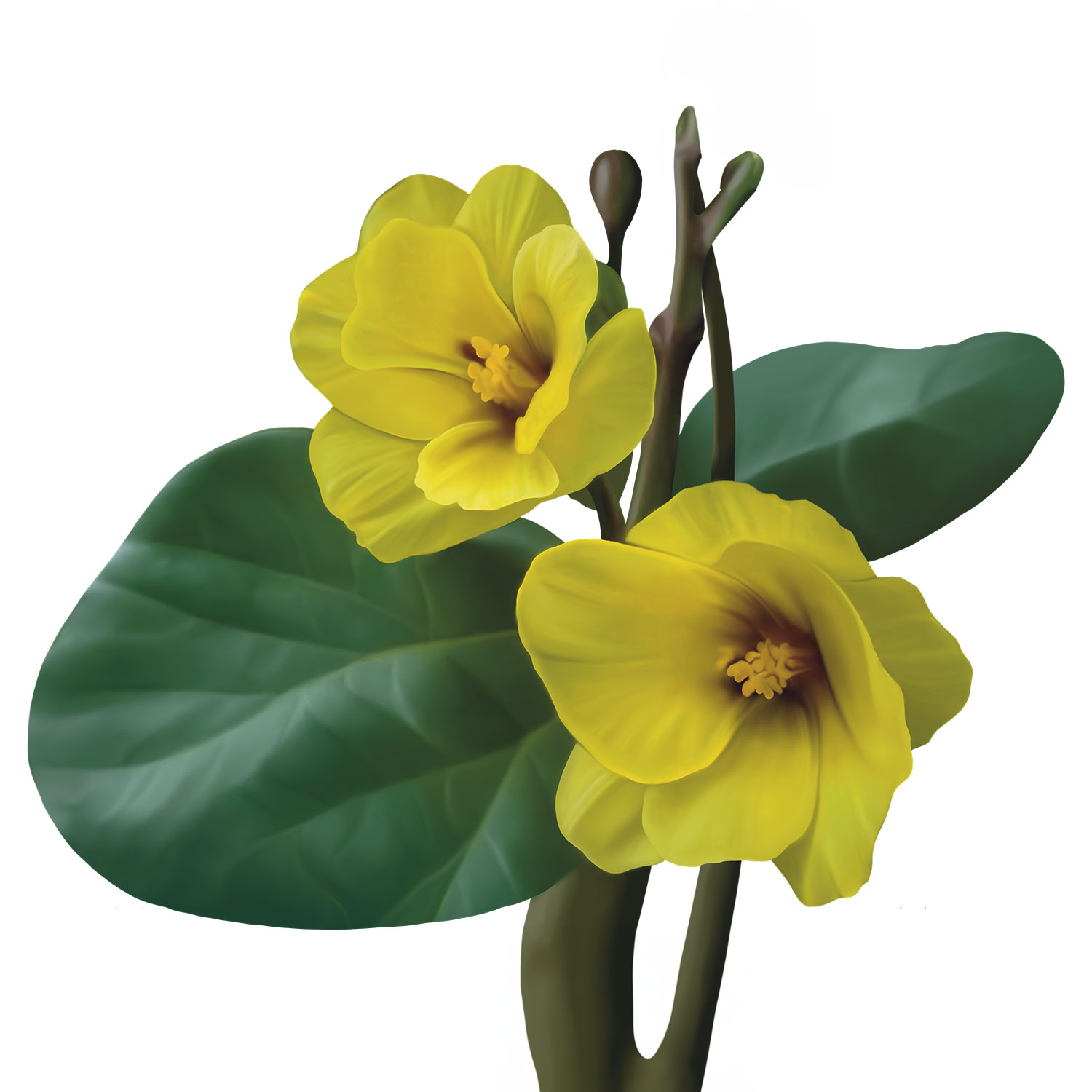 bodhi_tree_2_FdCVPQZ8kN.jpg